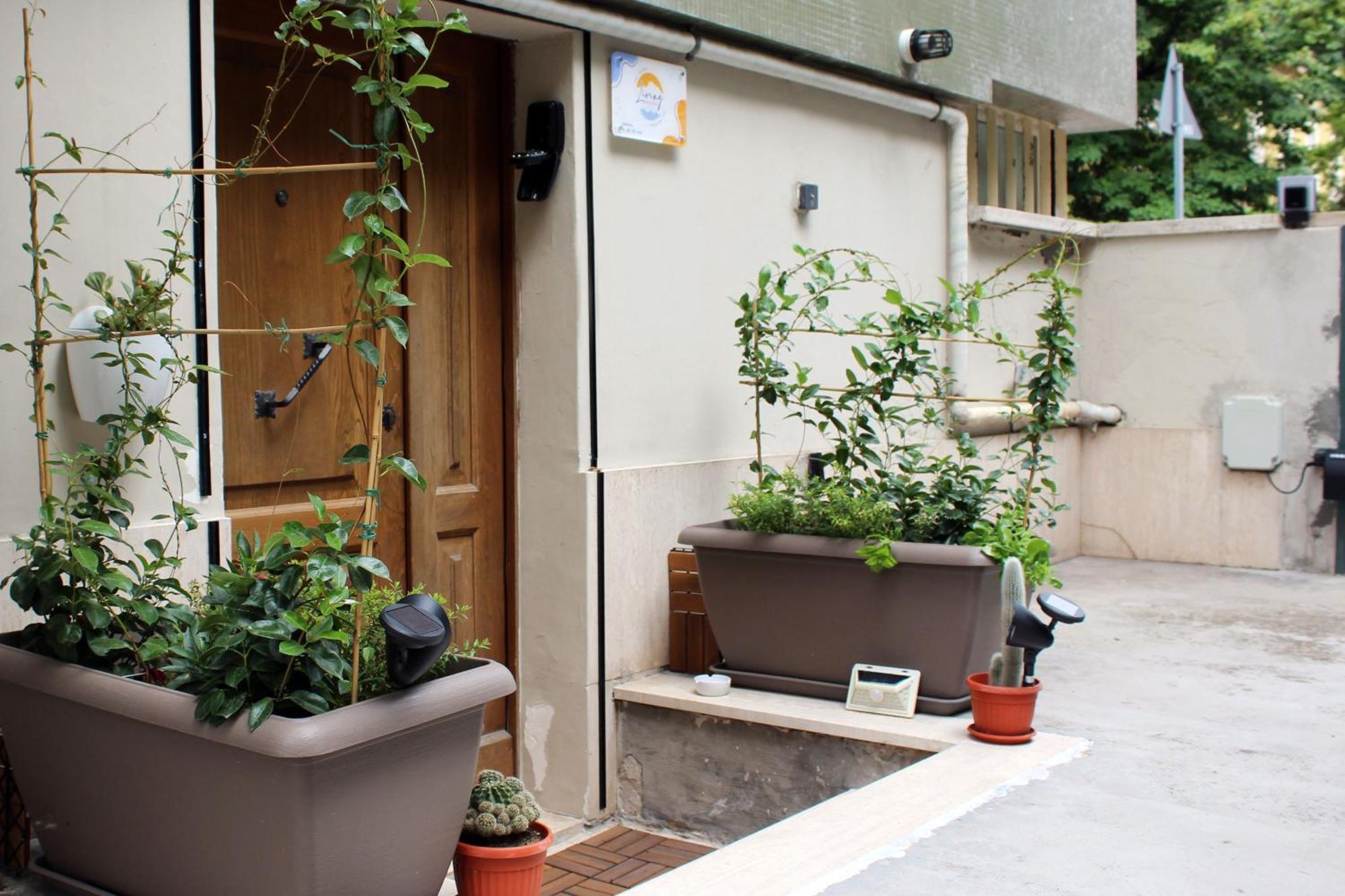 Living Apartment