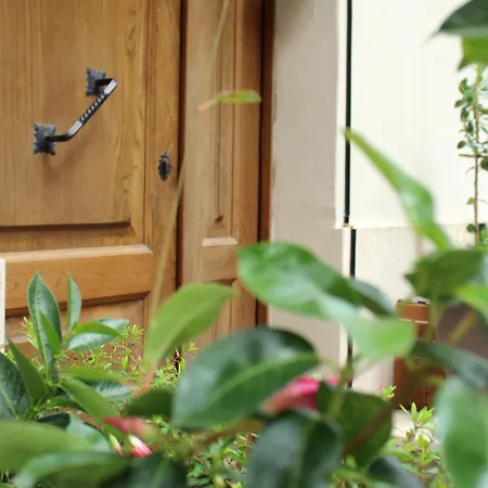 Ferienwohnung Living Pescara Exterior foto